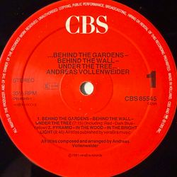 Виниловая пластинка Andreas Vollenweider - ...Behind The Gardens - Behind The Wall - Under The Tree… LP