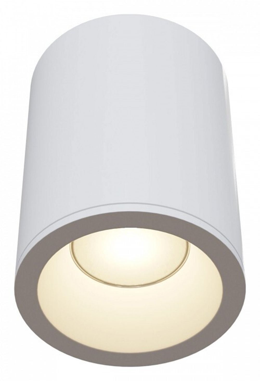 Накладной светильник Maytoni Zoom C029CL-01W