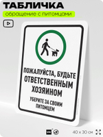 Табличка "Будьте ответственным хозяином, уберите за своим питомцем" на дверь и забор, для двора, дома, подъезда, 40х30 см, Silver Plane x Айдентика Технолоджи