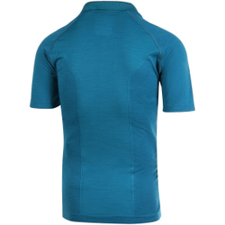 Мужское поло теннисное Wilson M F2 Seamless Polo - brittany blue