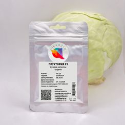 ПРУКТОРИЯ F1 семена капусты белокочанной (Syngenta | Alexagro)
