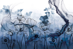 Коллекция Grafika Natura