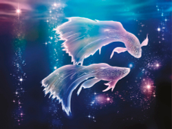 Коллекция Животные