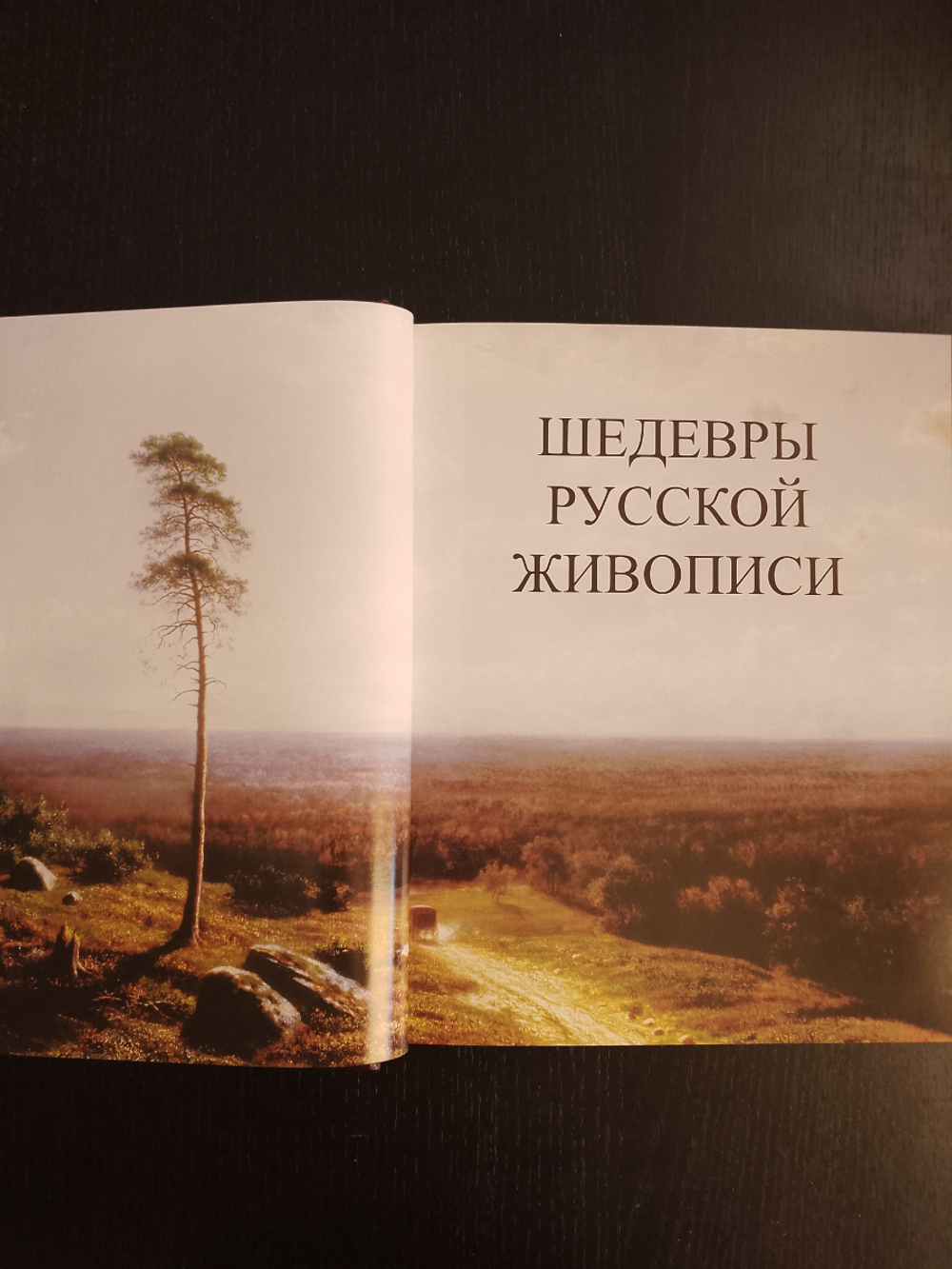 "Шедевры русской живописи" Книга подарочная в кожаном переплете с футляром