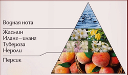 Мой шанс 50 мл