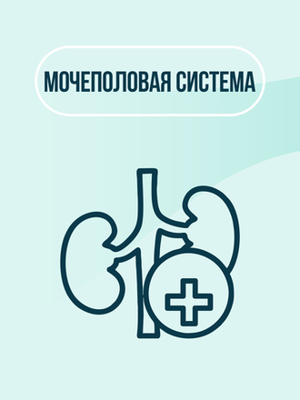 Лечение мочеполовой системы у кошек