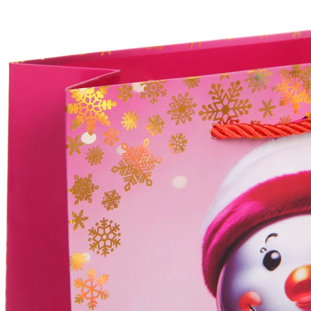 Пакет подарочный «Волшебный снеговик» 18*23*8 см, микс