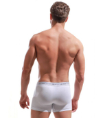 Трусы-боксеры с широкой резинкой (Размер: L) (Цвет: черный)