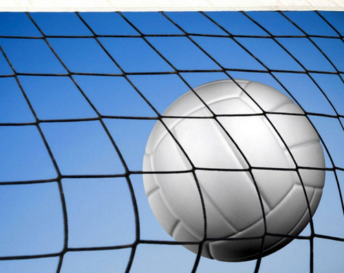 Сетка волейбольная 9500х1000мм ячейка 100х100мм, трос стальной 4мм, толщина нити 3мм