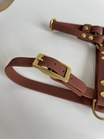 Шлейка из биотана на латунной фурнитуре , s , 15 мм, цвет Мокко под кожу