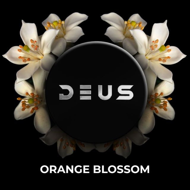 Табак DEUS - Orange Blossom 20 г