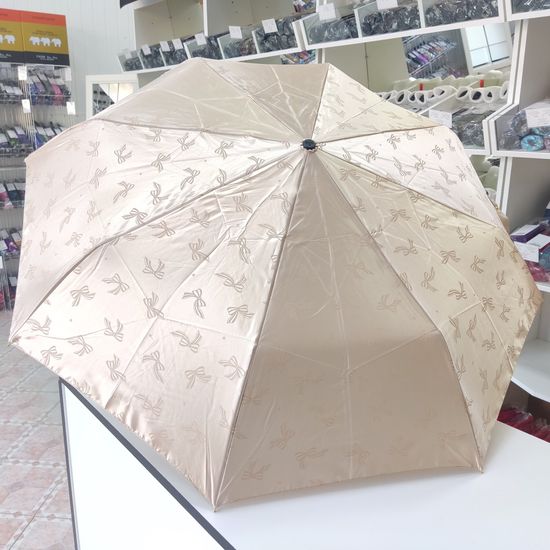 Женский зонт Три Слона, Полный автомат 3880-B-03