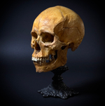 Статуэтка «Череп человека»