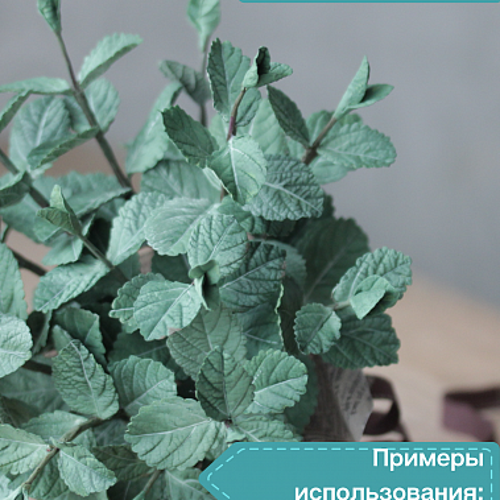 Полимерная глина CLAYCRAFT BY DECO, самоотвердевающая, цвет Зеленый, 55 гр