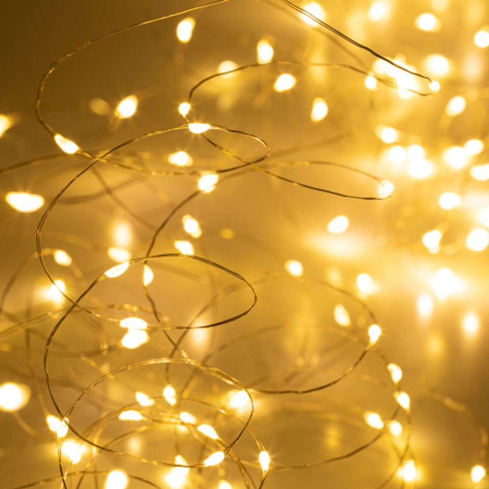 Светодиодная новогодняя гирлянда ЭРА ЕGNIG - ZW занавес с пультом 3*3 м теплый белый 300 LED