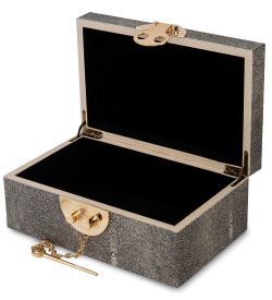 IG-230 Шкатулка «Осьминог»