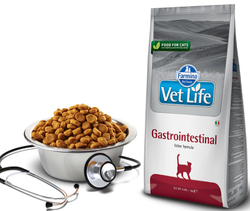 Сухой корм FARMINA Vet Life GastroIntestinal Feline для взрослых кошек при нарушениях пищеварения - 10 кг