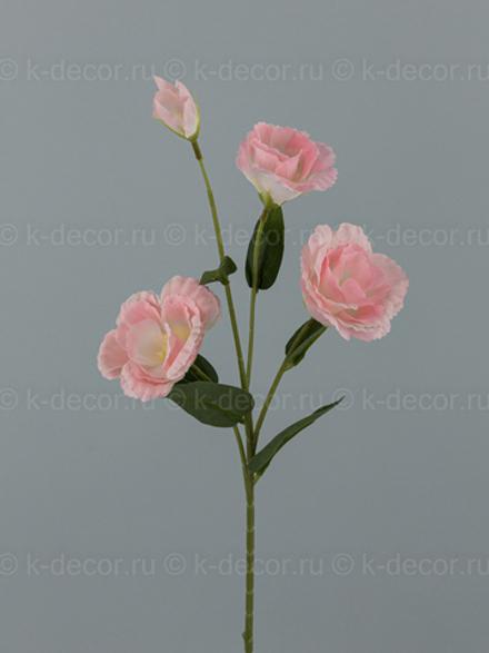 Эустома Каролина