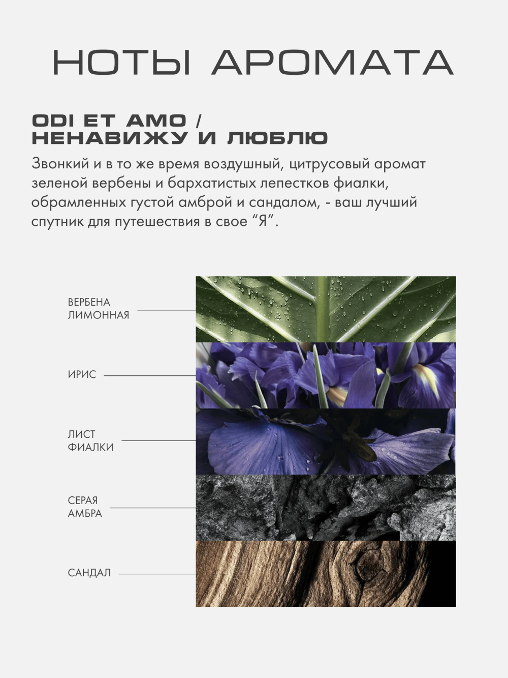 Parfum Set 5*10мл / Nil Sancti / Ничего святого