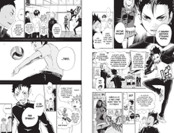 Волейбол! Книга 2. Вперед, команда Карасуно! Соперники