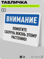 Табличка для обеспечения безопасности "Внимание, помогите сберечь жизнь этому растению", для офиса, по охране труда для предприятия, организаций, 40х30 см, Silver Plane x Айдентика Технолоджи