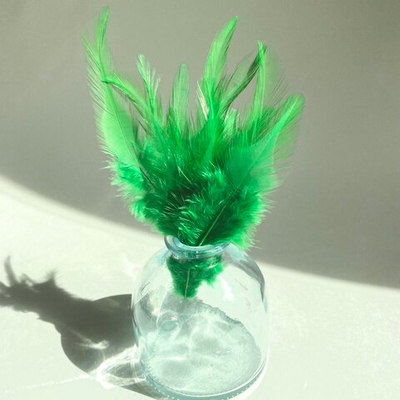 Перья петуха ярко-зеленые 7 - 13 см. 20 шт.