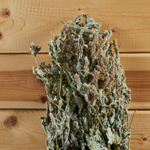 Мята яблочная, букет_8.jpg