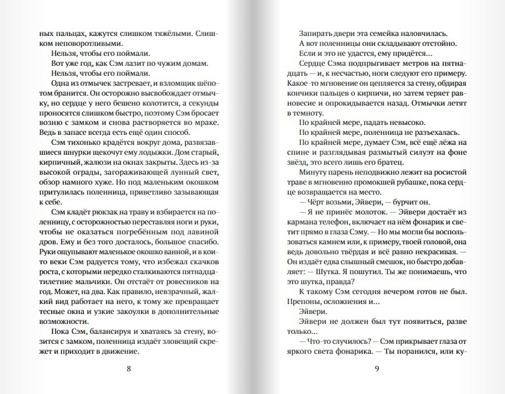 Мальчик, который крадёт дома