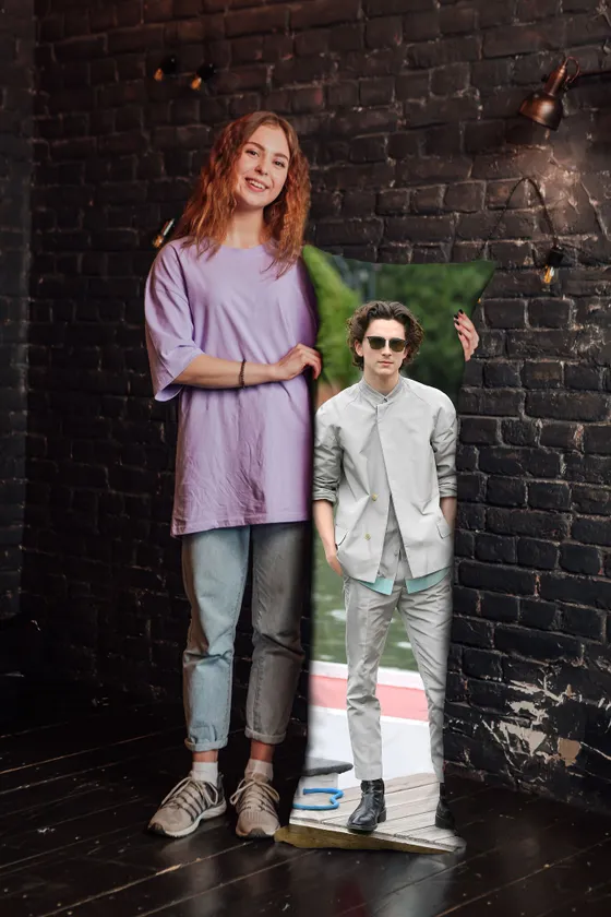 Дакимакура Тимоти Шаламе