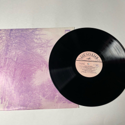 Винтажная виниловая пластинка LP Поет Нина Пантелеева (СССР 1975) Долгое Лето