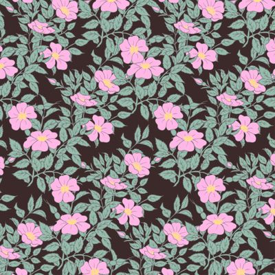 Цветущий шиповник