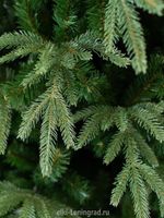 Ель искусственная «Форесто» (Литая+пвх) 150 см / 1.5 м