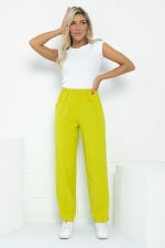 Брюки Кения (зеленое яблоко) Б11791 LT Collection