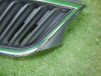 Решетка радиатора Skoda Rapid (2012-2020)