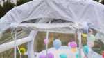Прозрачная надувная палатка-шар «BubbleTree» ТПУ, 3,9*3*2,3 м