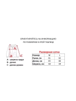 Скейтерская ветровка от Savitar Shoes Company