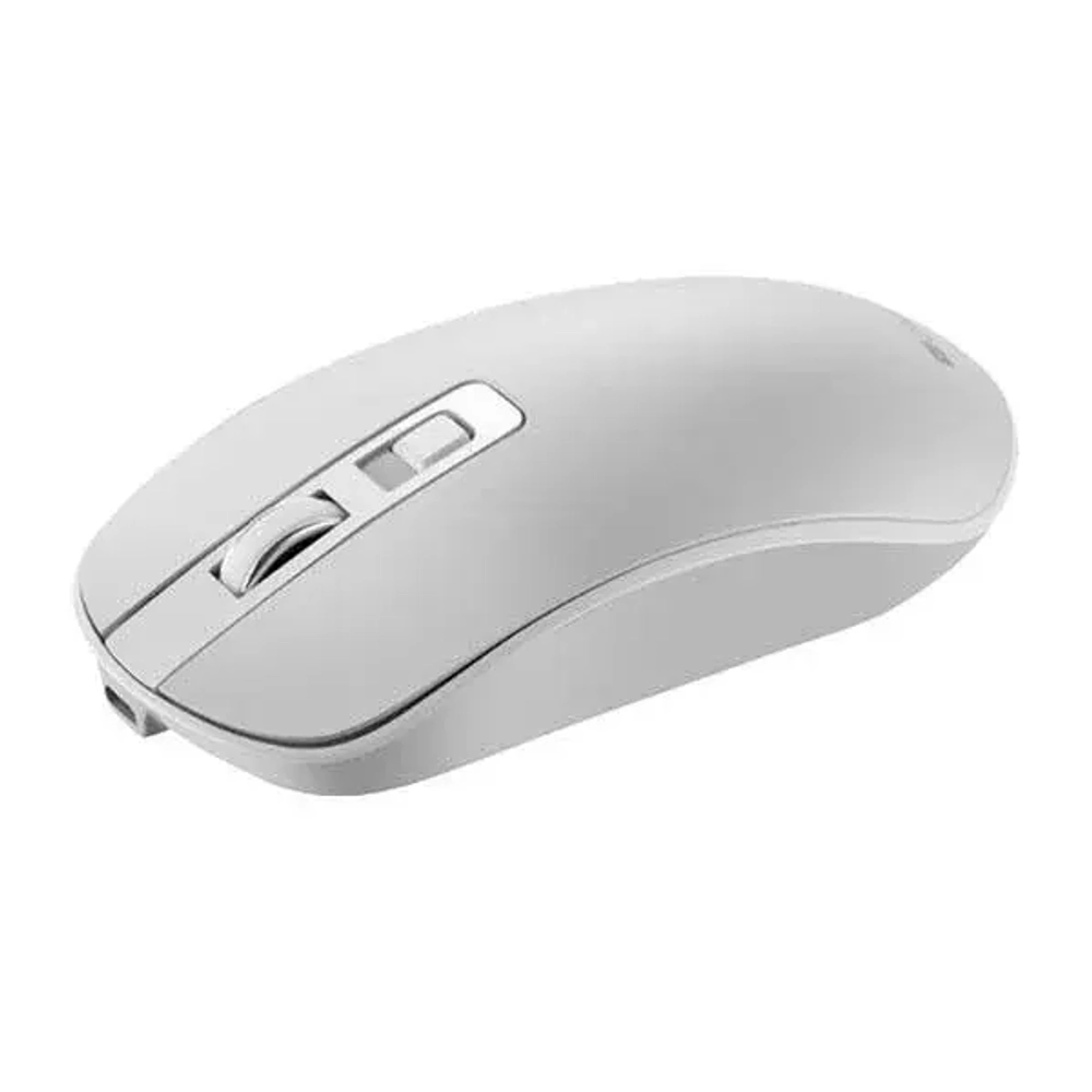 Мышь беспроводная Canyon (CNS-CMSW18PW)