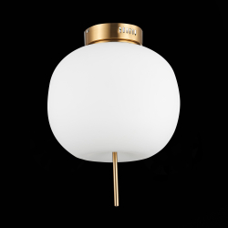 Светильник потолочный ST Luce Lacus SL1621.202.01