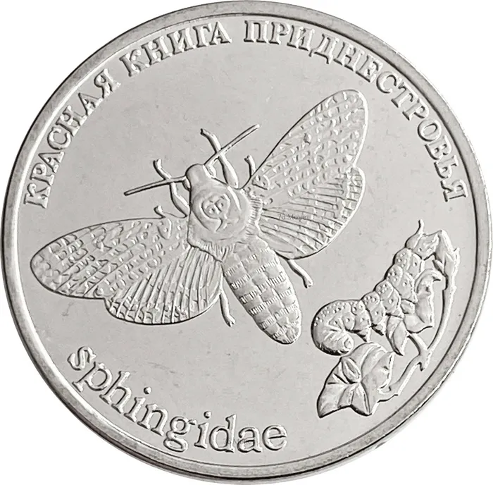 1 рубль 2018 Приднестровье «Бабочка Адамова голова»