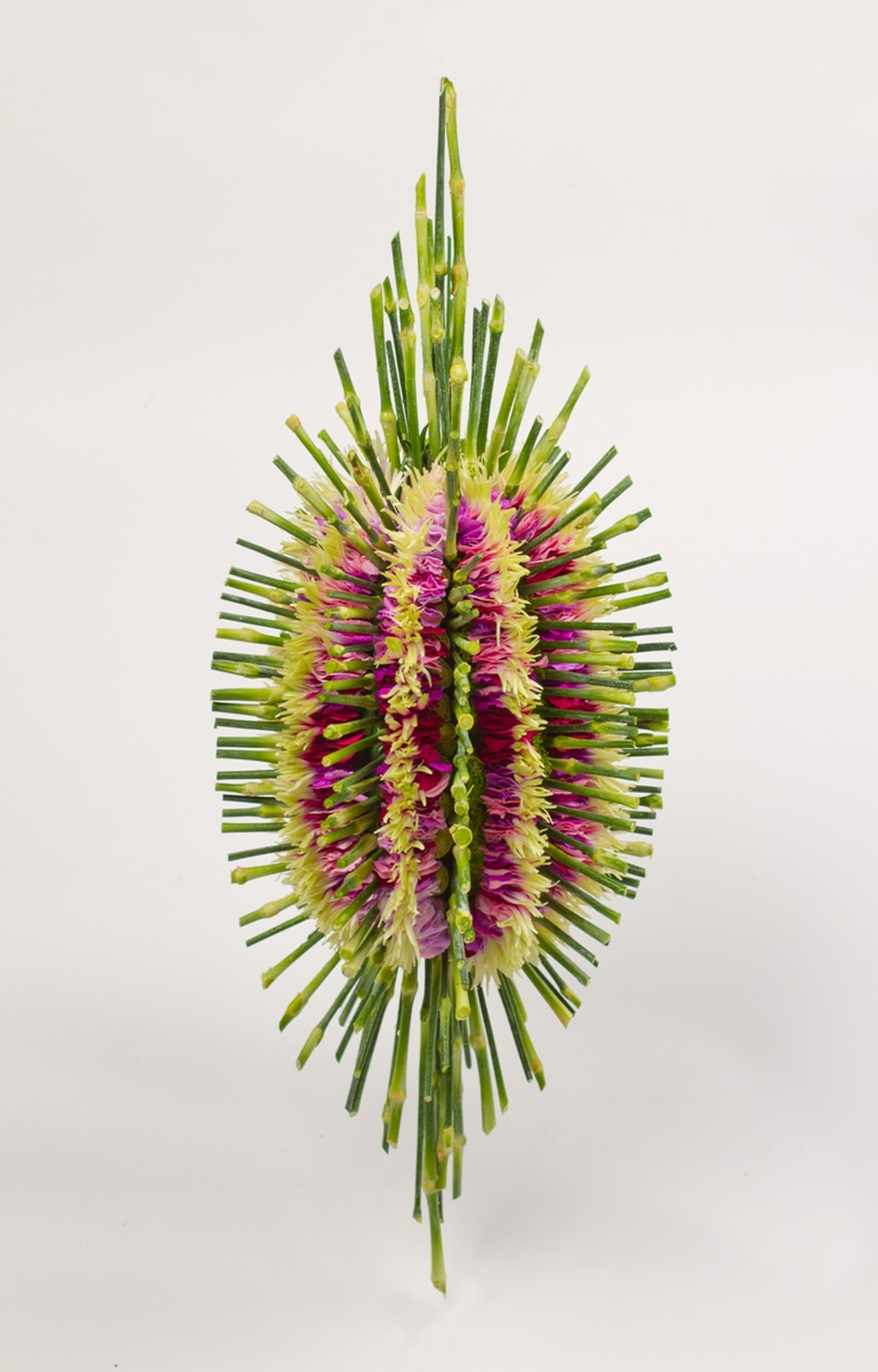 International Floral Art 2014/2015