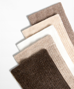 Oysho 5 пар хлопковых классических носков, песочный меланж