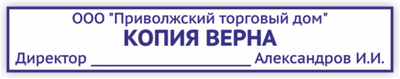 Штамп на автоматической оснастке Colop 25 75х15мм