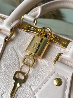 Louis Vuitton Speedy 20