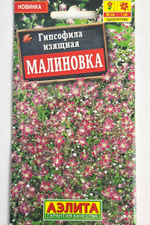 Гипсофила изящная Малиновка СМЦ-964