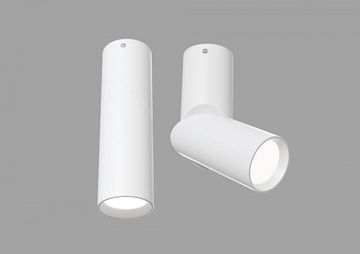 Накладной точечный светильник C027CL-L10W белый Dafne Maytoni