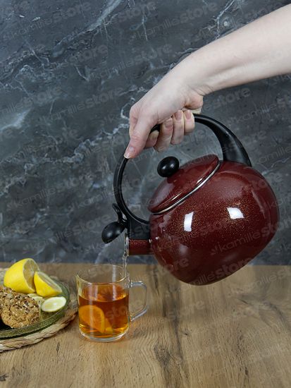 Чайник 2,2 л. эмалированный со свистком Kamille KM 1038C с черной бакелитовой ручкой