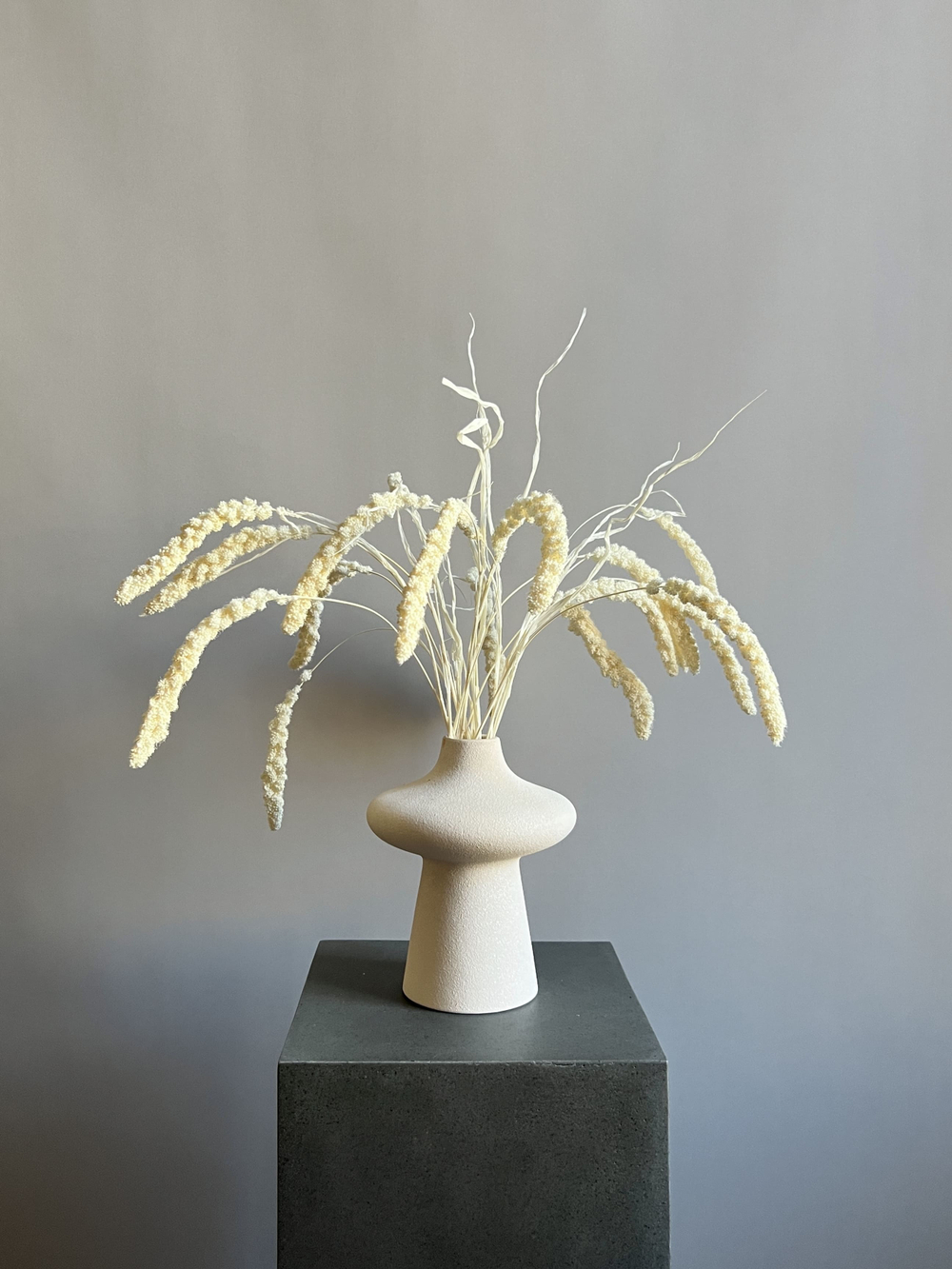 Сетария молочная