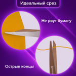 Ножницы BRAUBERG "Heavy Duty" 210 мм суперпрочные титановое покрытие 2-х сторонняя заточка (4 штуки в упаковке)