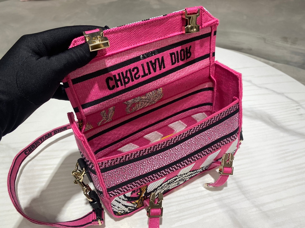 Christian Dior Diorcamp Bag 23 cm