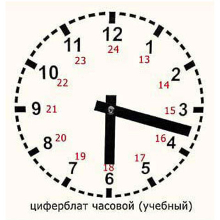 Часовой циферблат раздаточный